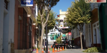 Poda de árboles para preparar el paso de la Virgen de las Mercedes