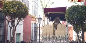 200 euros a la mejor foto de la Virgen de los Desamparados