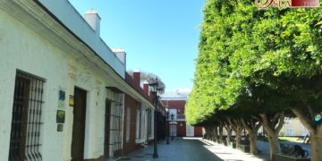 Cavada hace caso omiso a las hermandades y no poda la Alameda obligándolas a cambiar su itinerario en la Magna Mariana