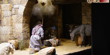 Misericordia retoma la tradición belenista