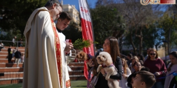 La bendición de los animales puso fin al San Antón más tardío que se recuerda