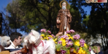 San Antón en San Fernando: Pasa al 12 de abril, el santo en ‘palio’ y con bendición de los animales
