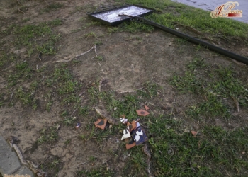 El rótulo del Paseo Virgen del Buen Fin destrozado