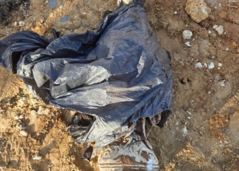 Aparece enterrada en una parcela de Roche la Virgen de Lourdes que fue robada de una parroquia de Conil