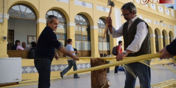 El corte de las palmas y olivos anuncia la llegada del Domingo de Ramos a La Salle