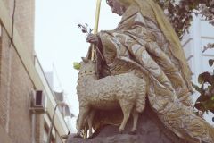 021017120427Mi Paatora de Capuchinos y La Merced 121
