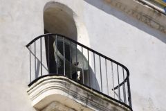 120218095654Virgen de Lourdes (Puerto Real) CABALGATA DE CARNAVAL  y Jerez 037