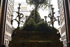 021017120427Mi Paatora de Capuchinos y La Merced 010