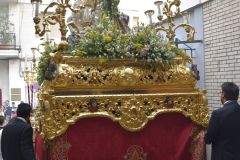 021017120427Mi Paatora de Capuchinos y La Merced 012