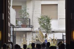 021017120427Mi Paatora de Capuchinos y La Merced 015