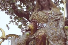 021017120427Mi Paatora de Capuchinos y La Merced 040