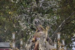 021017120427Mi Paatora de Capuchinos y La Merced 048
