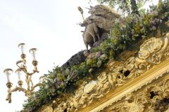 021017120427Mi Paatora de Capuchinos y La Merced 057