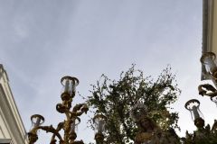 021017120427Mi Paatora de Capuchinos y La Merced 083