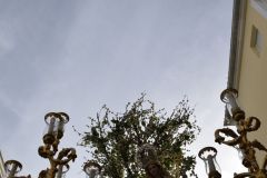021017120427Mi Paatora de Capuchinos y La Merced 084