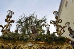 021017120427Mi Paatora de Capuchinos y La Merced 085