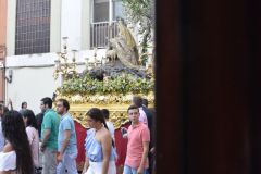 021017120427Mi Paatora de Capuchinos y La Merced 101