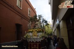 150517101249Trille Cadiz 141